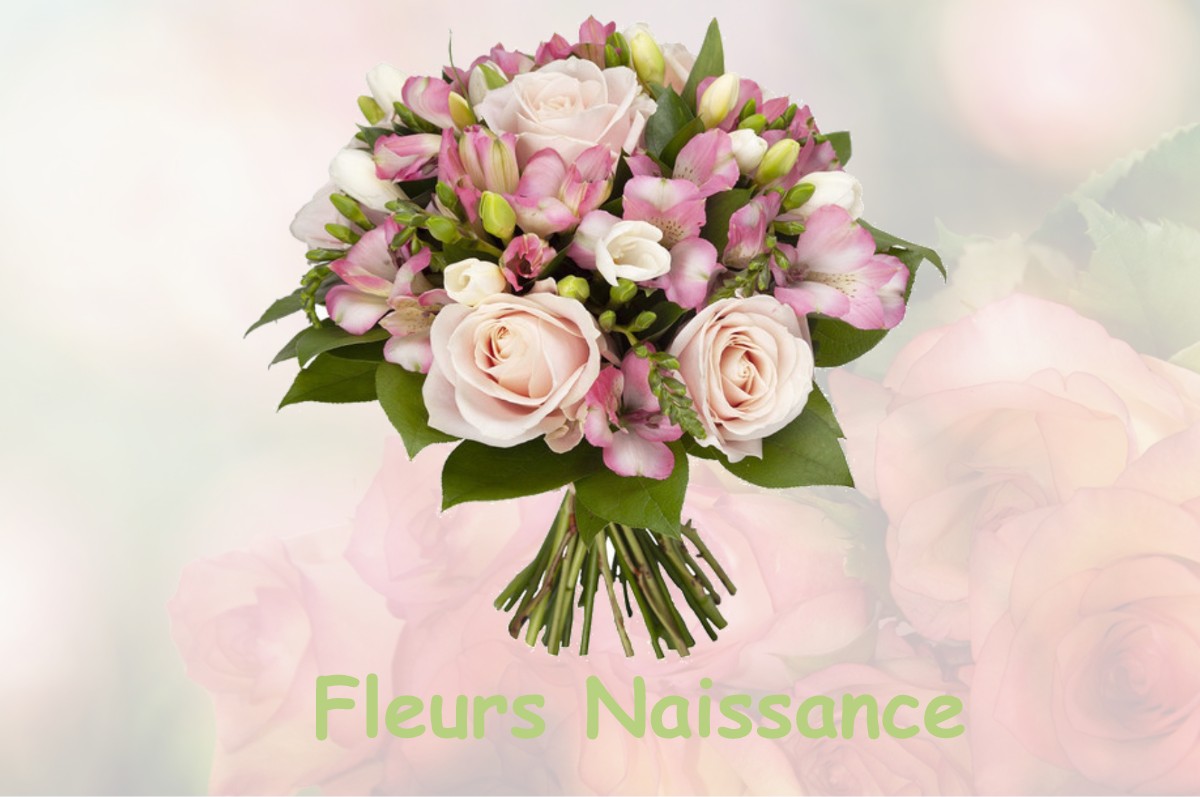 fleurs naissance SAINT-CHRISTAUD